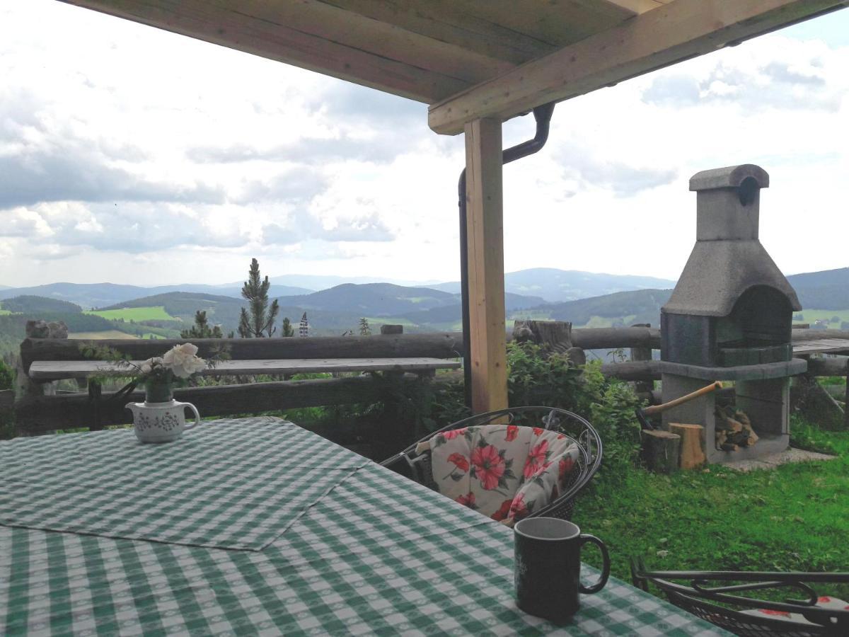 Sommeralmhütte Sankt Kathrein am Offenegg Exteriör bild