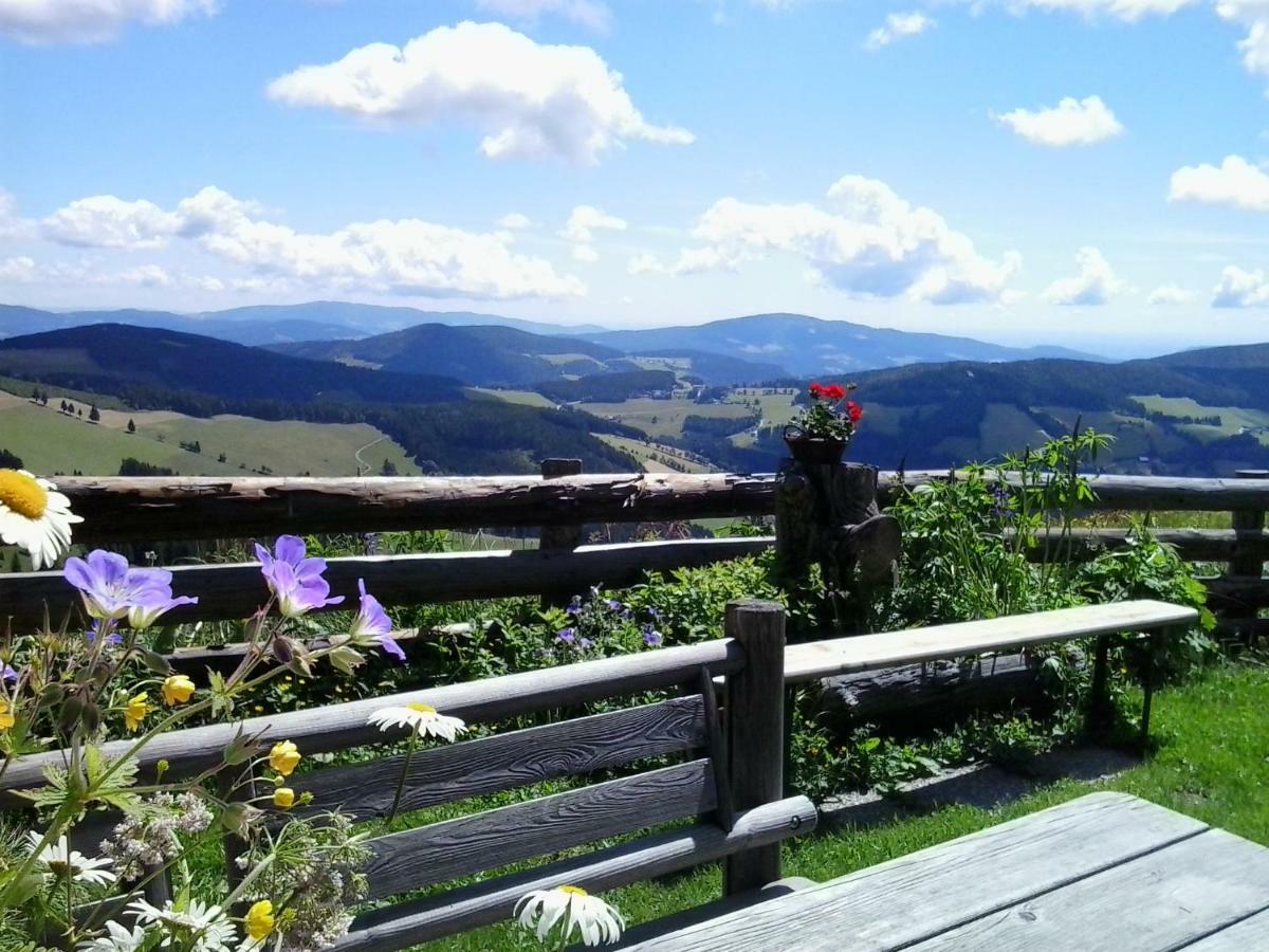 Sommeralmhütte Sankt Kathrein am Offenegg Exteriör bild