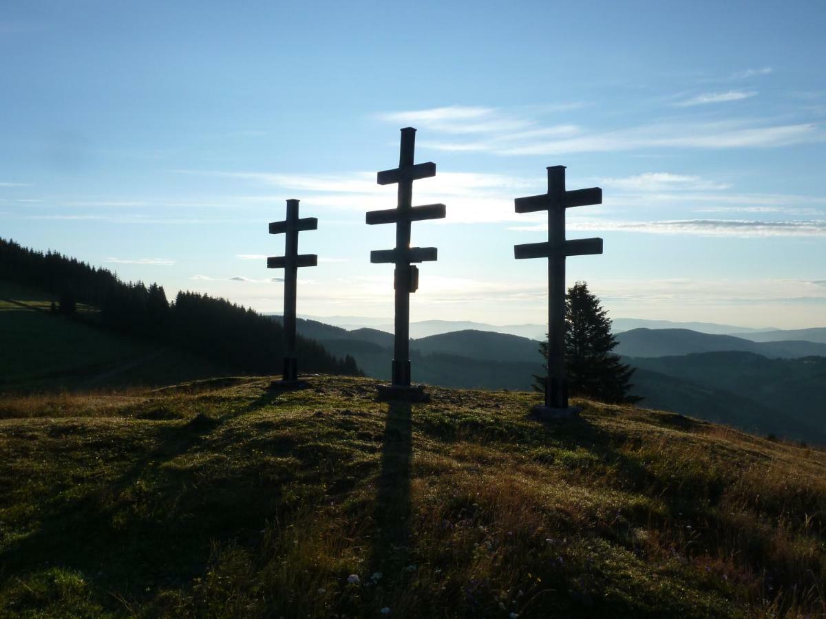 Sommeralmhütte Sankt Kathrein am Offenegg Exteriör bild