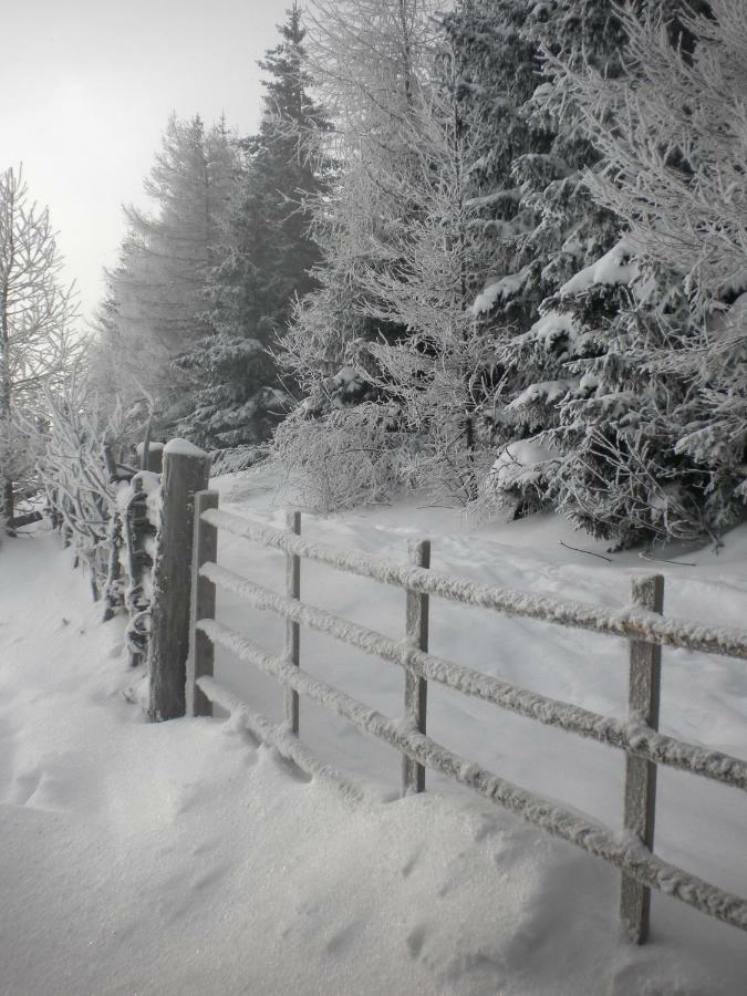 Sommeralmhütte Sankt Kathrein am Offenegg Exteriör bild